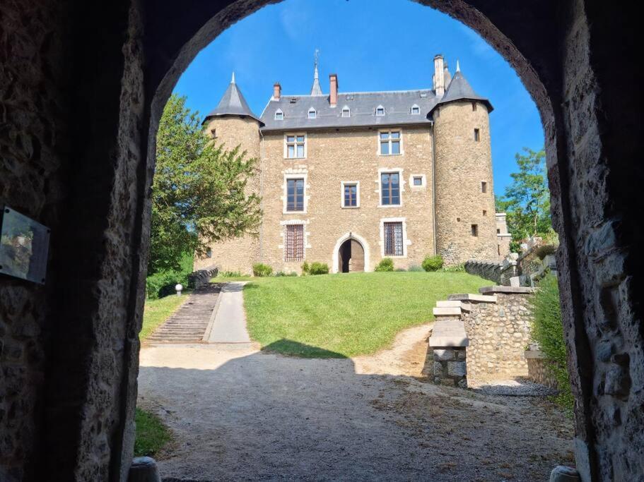 Chateau D'Uriage - Duplex Avec Terrasse Privative Saint-Martin-d'Uriage Exterior photo